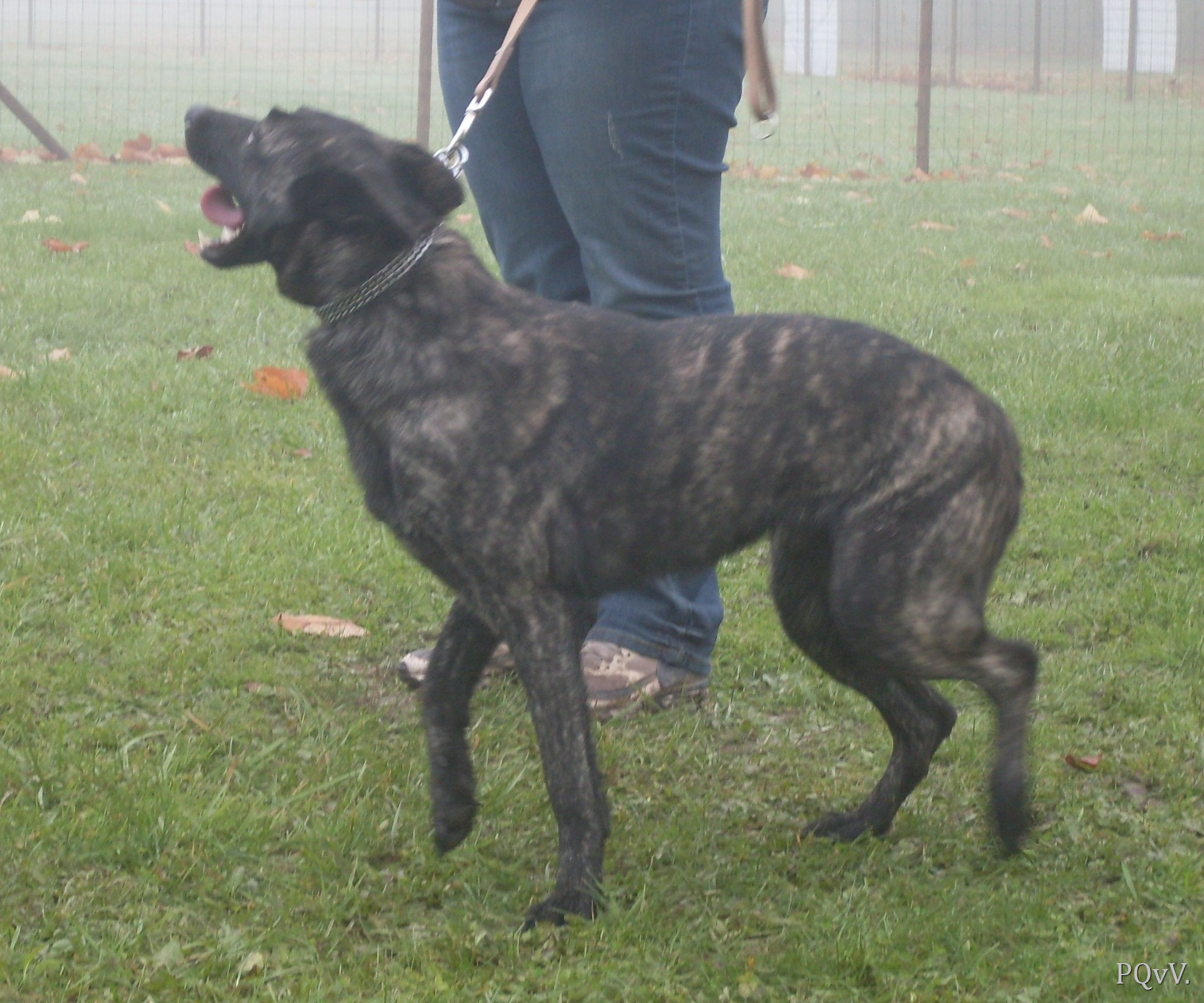  Flamme Argentee met Frasnay’s Flair